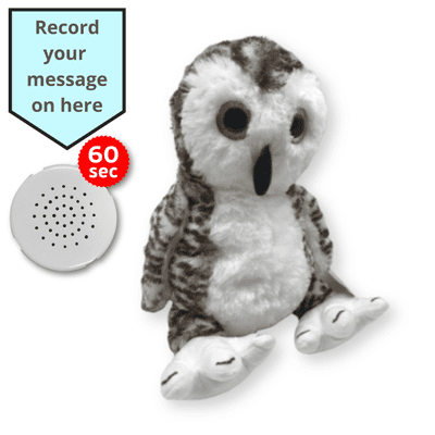 16 inch Owl - Voice Recording Teddy Bear