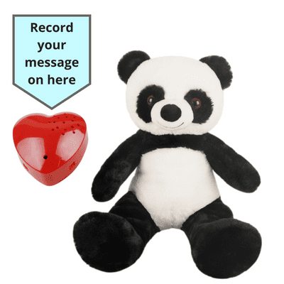 16 inch Panda - Voice Recording Teddy Bear