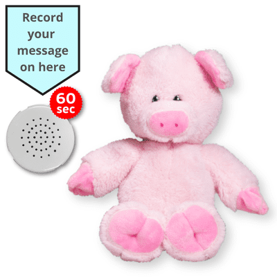 16 inch Pig - Voice Recording Teddy Bear