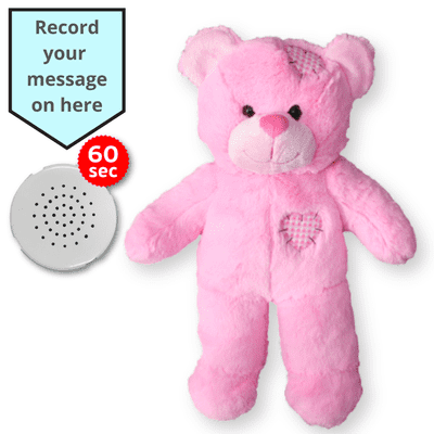 16 inch Pink Patch Teddy - Voice Recording Teddy Bear