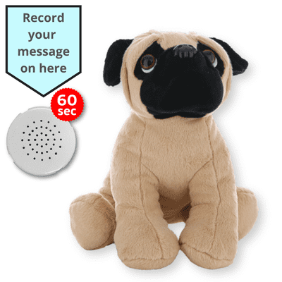 16 inch Pug Dog - Voice Recording Teddy Bear