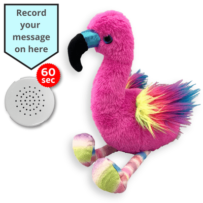 16 inch Rainbow Flamingo - Voice Recording Teddy Bear