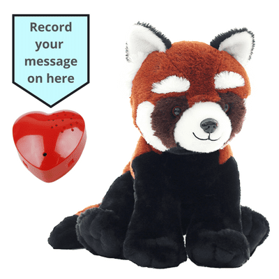 16 inch Red Panda - Voice Recording Teddy Bear