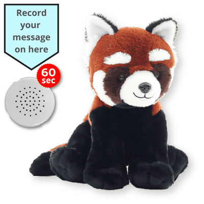 16 inch Red Panda - Voice Recording Teddy Bear