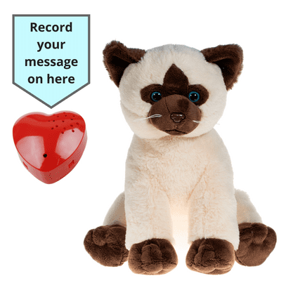 16 inch Siamese Cat - Voice Recording Teddy Bear