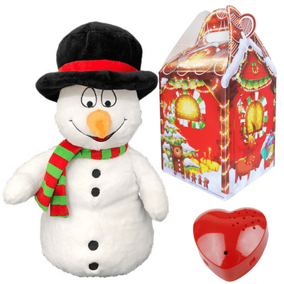 16 inch Snowman - Christmas 60 Second Recordable Bear