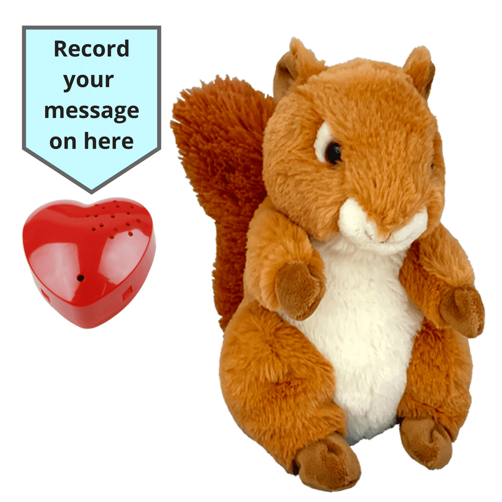 16 inch Squirrel Voice Recording Teddy Bear