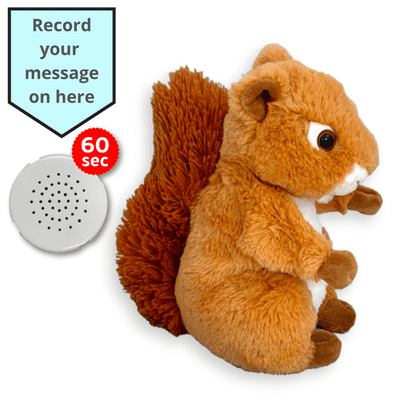 16 inch Squirrel - Voice Recording Teddy Bear