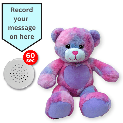 16 inch Strawberry the Heart Teddy - Voice Recording Teddy Bear