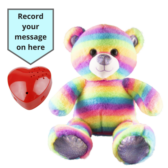 16 inch Stripes the Rainbow Bear Voice Recording Teddy Bear