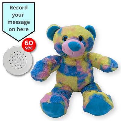 16 inch Summer Teddy - Voice Recording Teddy Bear