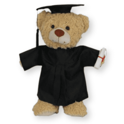 16 inch Toffee the Graduation Teddy Gift - Ready Dressed Bear