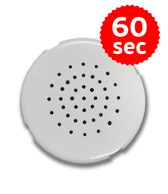 60 Second Recordable Voicebox - Teddy Bear Accessories