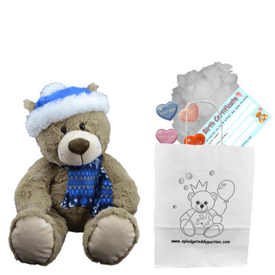 8 inch Christmas Teddy - DIY Bear Kit no-sew