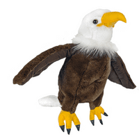 8 inch Eagle - Bear Making Kit