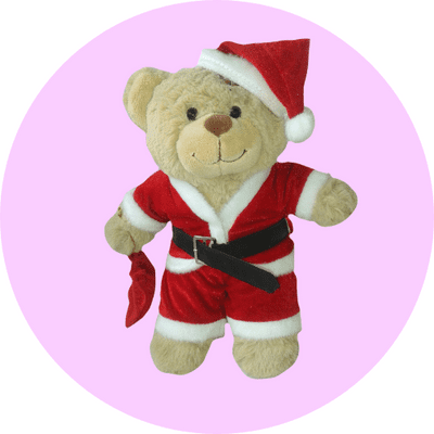 Christmas Teddy Clothes