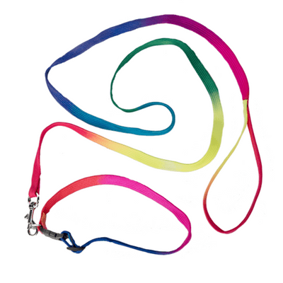 Dog Lead & Collar - Fully adjustable - Teddy Bear Clothes