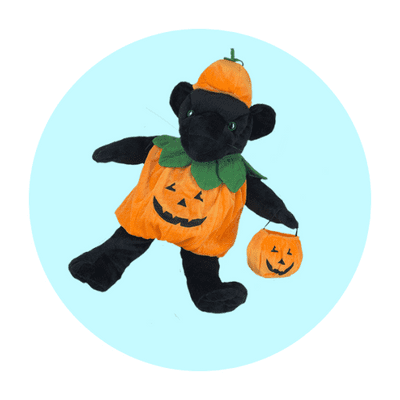 Halloween Teddy Clothes