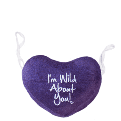 Heart -I'm Wild about You - Teddy Bear Accessories - CLEARANCE