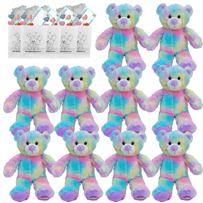 Make your own Bear Party - 10 x 10 inch Magical Rainbow Teddies - no-sew
