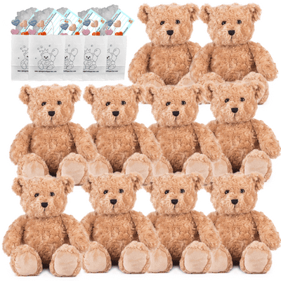 Make your own Bear Party - 10 x 16 inch Classic Teddies - no-sew