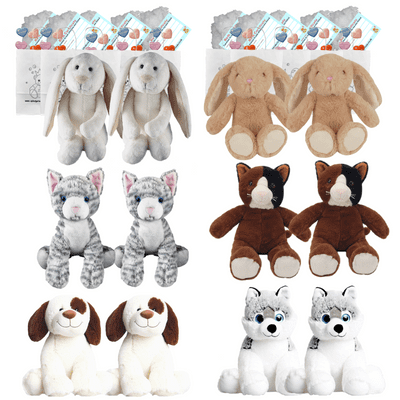 Make your own Bear Party - 12 x 10 inch Pets - no sew