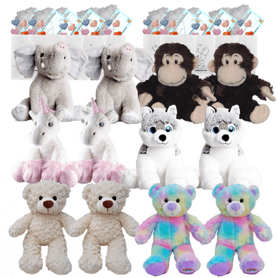 Make your own Teddy Party - 12 x 10 inch Popular Choice - no sew