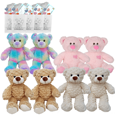 Make your own Teddy Party - 8 x 10 inch Colour Mixed Bears