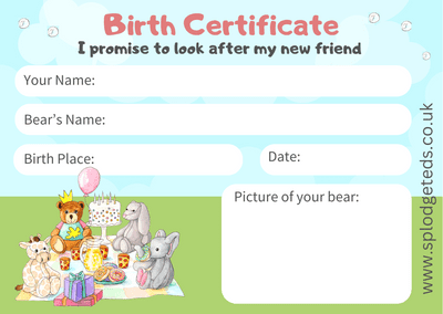 Pack of 10 x A5 Birth Certificates
