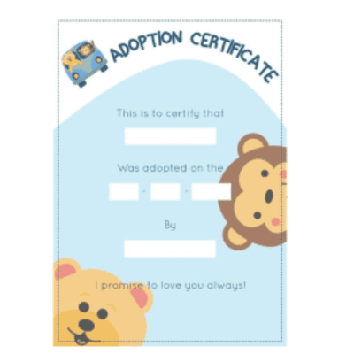 Pack of 10 x A5 Unbranded Birth Certificates