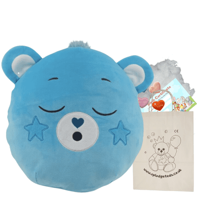 Stuff a Plushie Pillow DIY Kit - Bedtime Care Bear