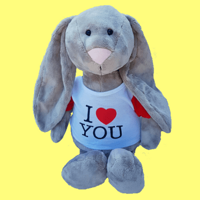 Valentine's Day Teddy Gifts