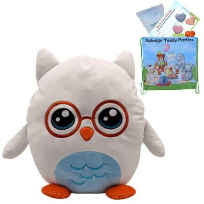 Wise Owl - Squishy Plush Pillow DIY Kit - no-sew