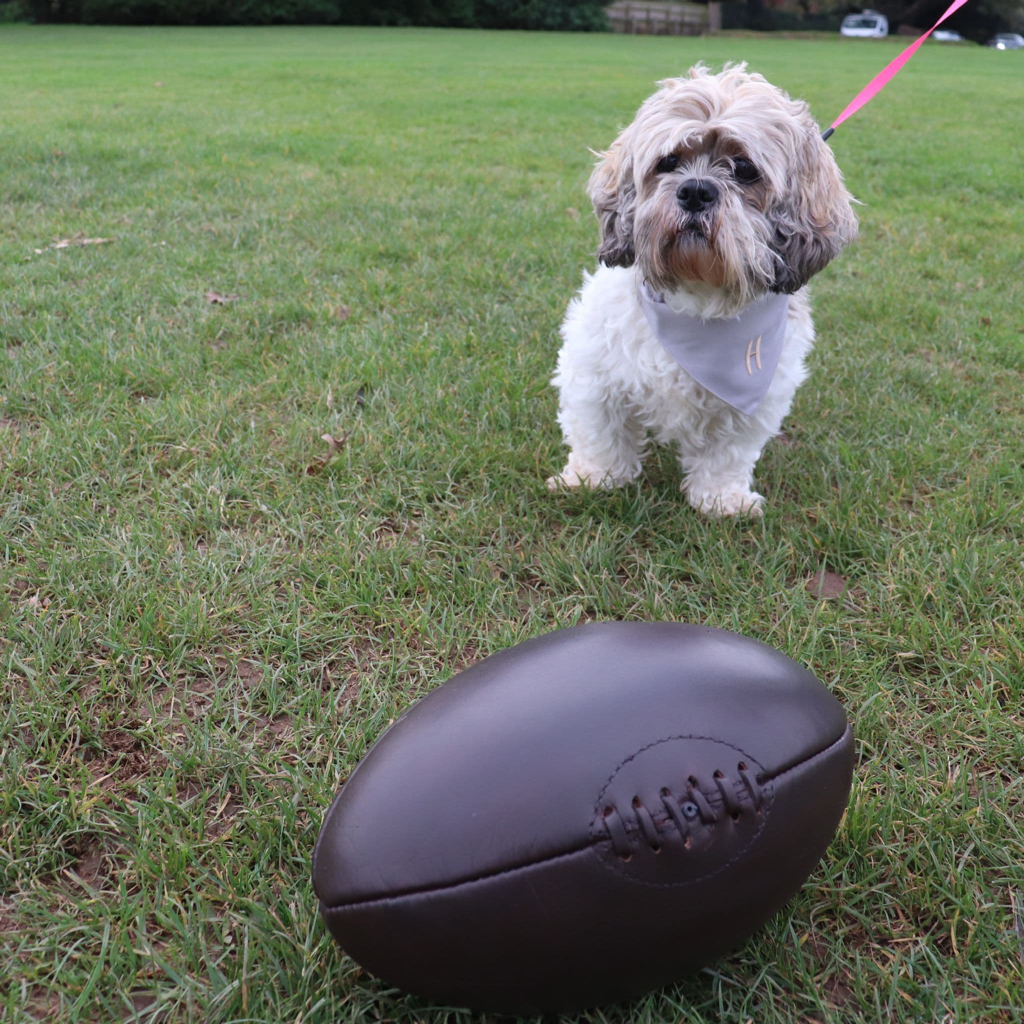 Personalised Vintage Leather Rugby Ball