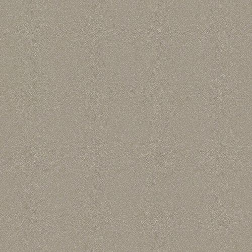 Beige Metallic  MDF High Gloss Acrylic Senoplast Boards - CU69