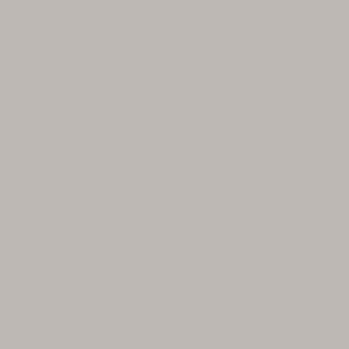 Light Grey MDF High Gloss Acrylic Senoplast Boards - CU306