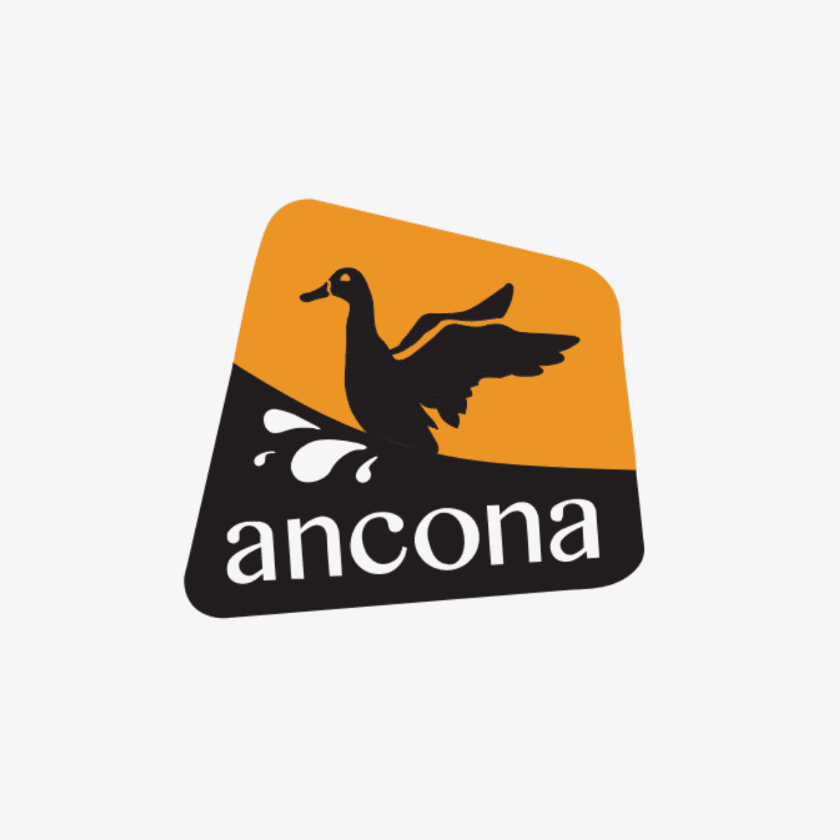 Ancona 