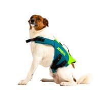 Jobe Pet Vest Lime Teal 240023001