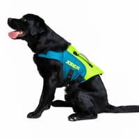 Jobe Pet Vest Lime Teal 240023001