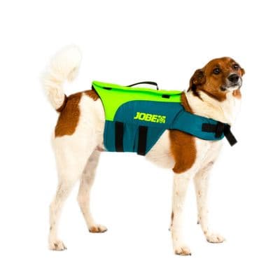 Jobe Pet Vest Lime Teal 240023001
