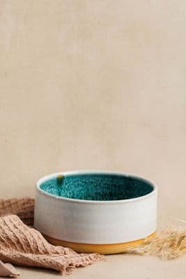 Adrian McColgan | Large Pet Bowl