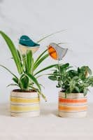 Alexa Braud Glass Artist | Stained Glass Bluetit Bird Sun Catcher Pin