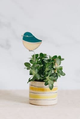 Alexa Braud | Stained Glass Bluetit Pin