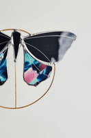 Alexa Braud Glass Artist | Stained Glass Butterfly Sculpture | Handmade Glass Sculpture