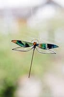 Alexa Braud Glass Artist | Stained Glass Dragonfly Sun Catcher | Handmade Glass | Dragonfly Art