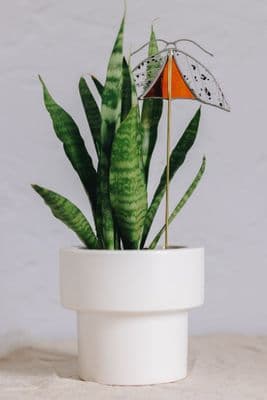 Alexa Braud | Stained Glass Red Bug Pin