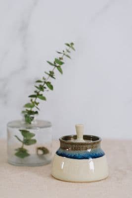 Alison Hanvey | Medium Cream Lidded Pot | Earth