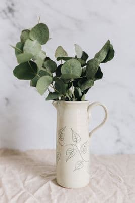 Alison Hanvey | Tall Pitcher Jug | Leaf