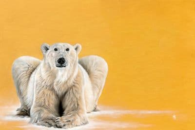 Anna Reed | Alba Polar Bear Print