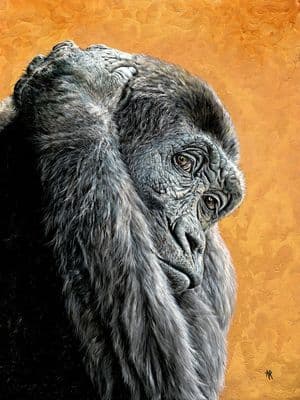 Anna Reed | Alfred Gorilla Print